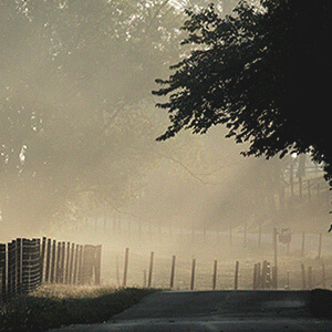 Kentucky landscape.